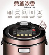 智能語音電壓鍋丨語音提示芯片丨語音報警芯片丨語音控制芯片