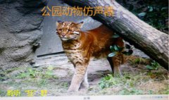 公園仿聲器語音ic丨庭院語音播放器丨花園MP3芯片丨仿真器OTP語音芯片