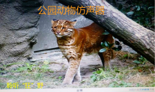 公園仿聲器語音ic,庭院語音播放器,花園MP3芯片,仿真器OTP語音芯片