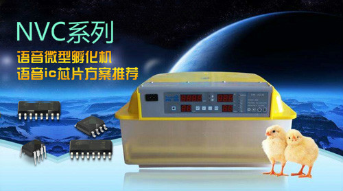 孵化器語音ic,孵化機語音提示芯片,微型機器語音播報芯片,工業(yè)級OTP語音芯片